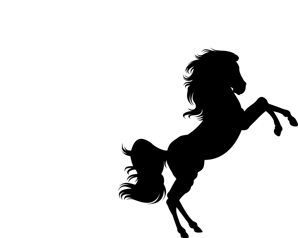 hiddenBackgroundImage
